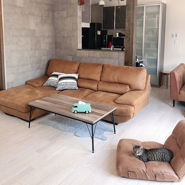 椅子,カウチソファー,関家具,猫,座椅子,ニトリ,ティッシュケース,こたつ,Lounge,クラッシュゲート hiroの部屋
