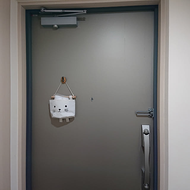 Entrance,マスク置き場,ダイソー,シンプル,マスク入れ,シンプルに暮らしたい,ねこが好き,狭いマンション,猫インテリア higupyonnの部屋