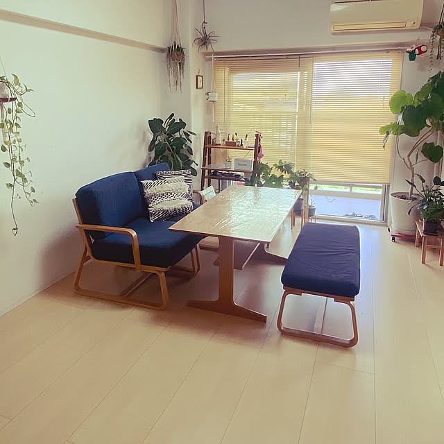 Lounge,観葉植物,雑貨,多肉植物,無印良品 karianの部屋