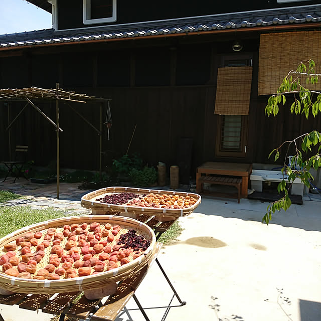 Entrance,田舎暮らし,日本家屋,古民家,お勝手口,梅しごと,ヒメイワダレソウ,2018.7月 coffee-groundsの部屋