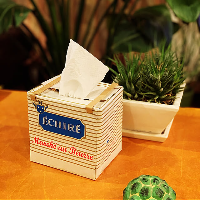 ティッシュケース,Lounge,節約,節約生活,観葉植物,ディスプレイ,リビングの一角,ゴミを減らす,SDGsの小さな取り組み,トイレットペーパー,わたしのハンドメイド 冬 ymymcurryの部屋
