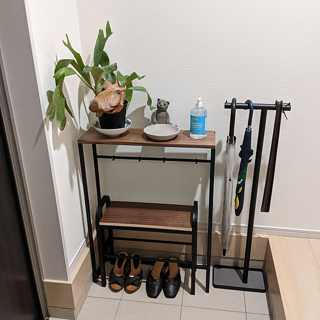 Entrance,RoomClipショッピング,夏のスペシャルクーポン,観葉植物,tower,towerシリーズ,コウモリラン hachiの部屋