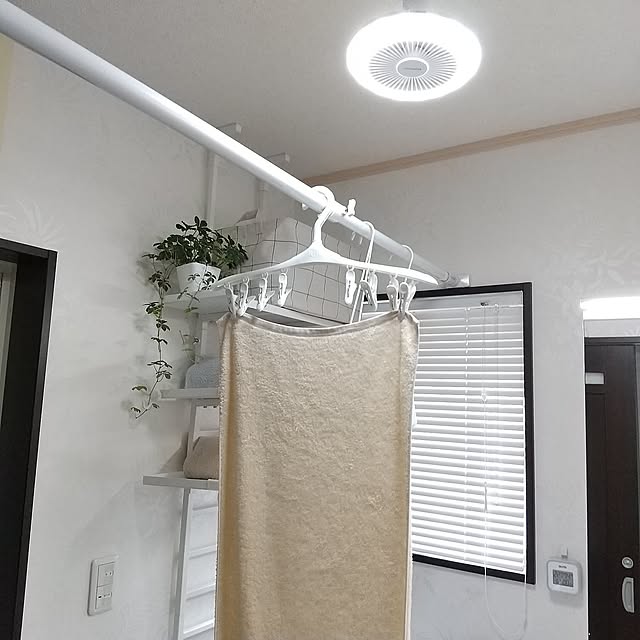 Bathroom,照明,シーリングファン,ドウシシャ,サーキュライト,CIRCULIGHT,暮らしのハンドブック2024,観葉植物,シュガーバイン,炭八,ベルメゾン,ランドリーラック,ラダーラック,リ・ホーム,突っ張り棚,突っ張り棒,バスタオル,突っ張りブラインド,スノーホワイト,ヒオリエ,ホテルスタイルタオル,ビッグフェイスタオル,ニトリ,ピンチハンガー,ホワイトインテリア meiの部屋