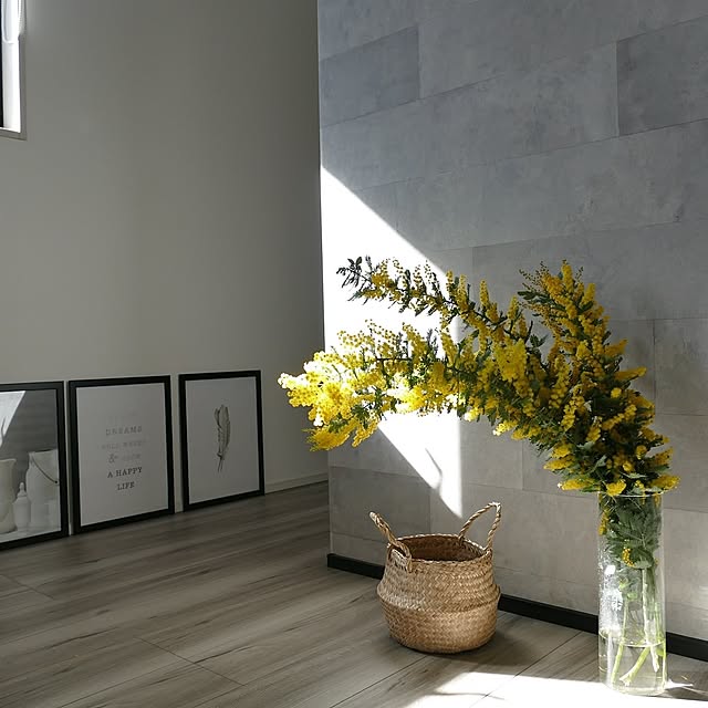 ポスター,IKEA,ミモザ,LIXIL,ラシッサDフロア,クラッリグ,グレージュエルム,かご・バスケット,無印良品 ya_maの部屋