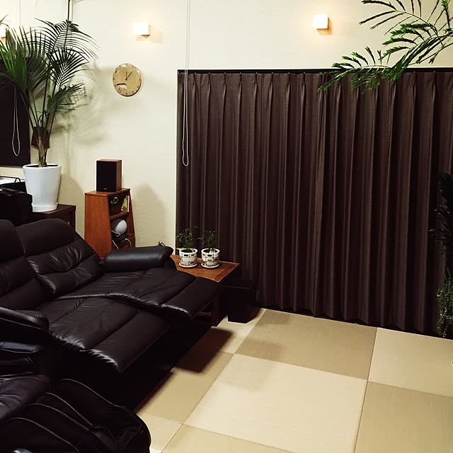 Lounge,琉球畳風,ニトリ,コンテスト参加用,観葉植物,アジアン,遮音カーテン Bariboy1972の部屋