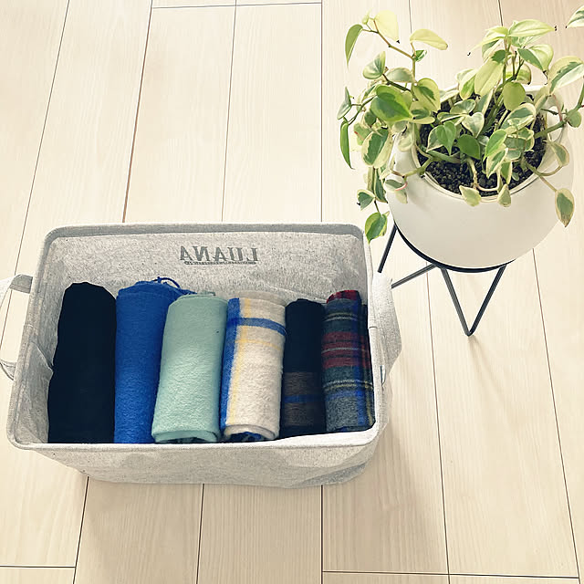 DAISOのボックス収納,ホワイトインテリア,RCmag掲載ありがとうございます,マフラーとストールの収納,観葉植物のある暮らし,On Walls minminの部屋