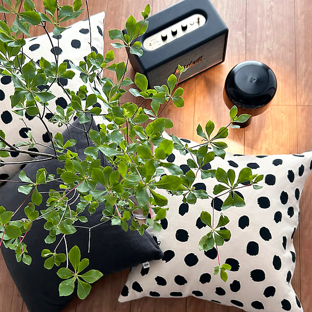 On Walls,マーシャル,IDEE,テーブルランプ,SHEIN,ドウダンツツジ,クッション,柄物,IKEA,フラワーベース,グリーン,ドット柄,間接照明 bubueの部屋