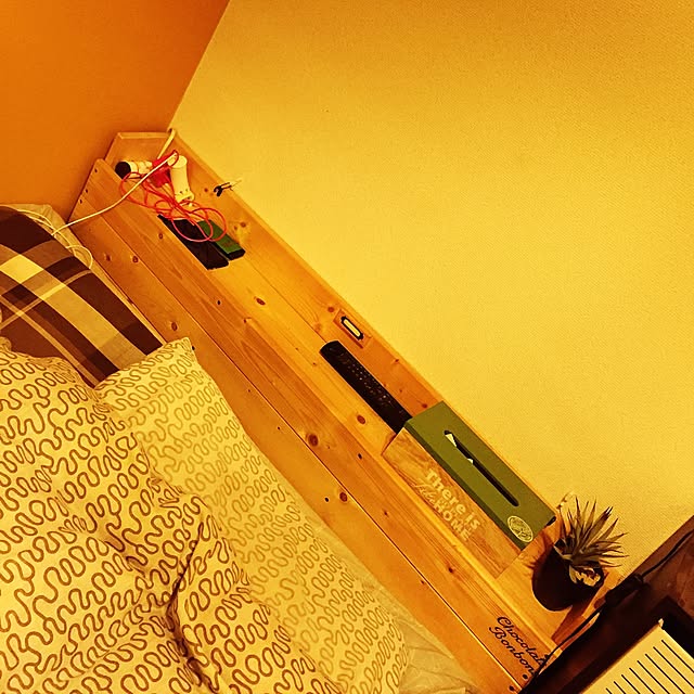 Bedroom,DIY,フェイクグリーン,3COINS actafool.71の部屋