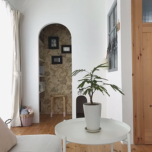 On Walls,小部屋,アーチ垂れ壁,わんこと暮らす家,わんこのトイレ,内窓,木製ドア,Numero74,エバーフレッシュ,IKEA,輸入壁紙,海外インテリアに憧れる,セルフリノベーション,中古を買ってリノベーション,中古住宅 saooo39の部屋