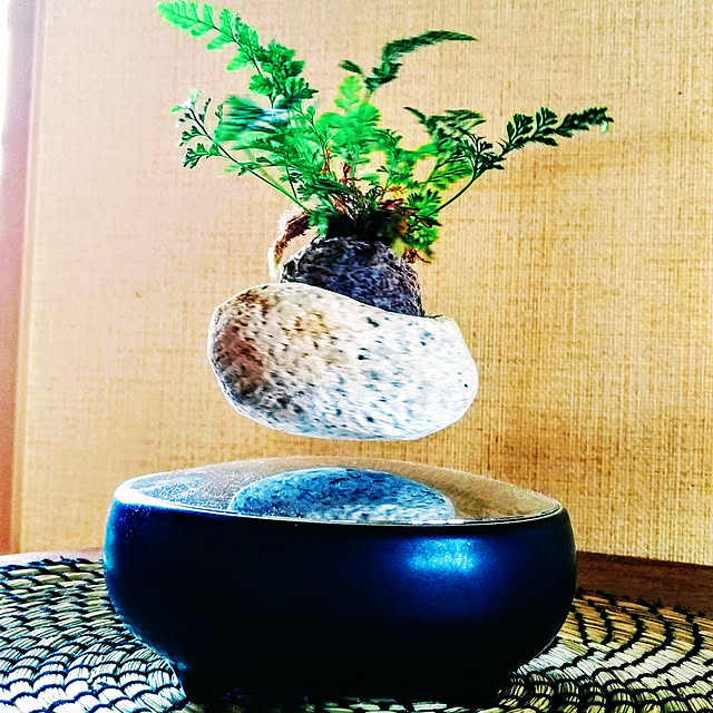 My Desk,和モダン,レトロ,ミックスインテリア,植物,クラウドファンディング,花瓶,わびさび,くつろぎ,フラワーベース honoの部屋