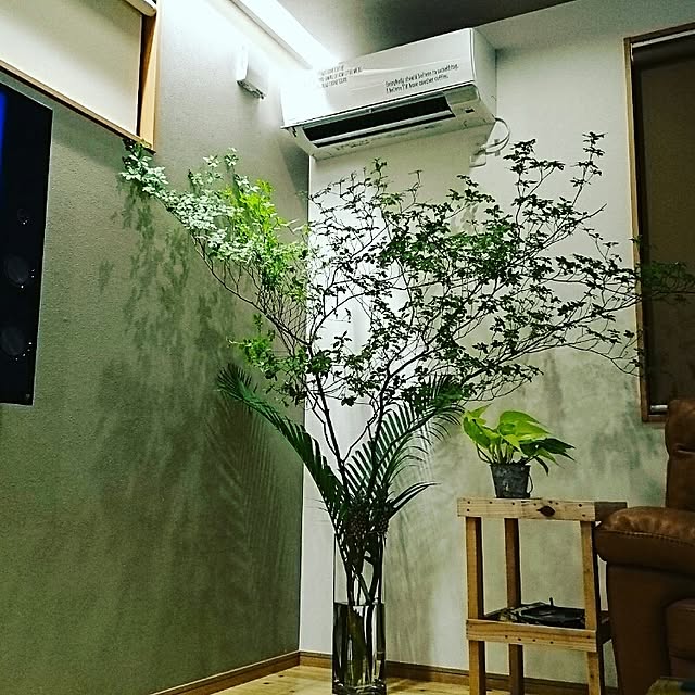 Lounge,緑が映える,ちょっとお金使っちゃった( ・ε・),緑はやっぱり良いですね juuuuunの部屋