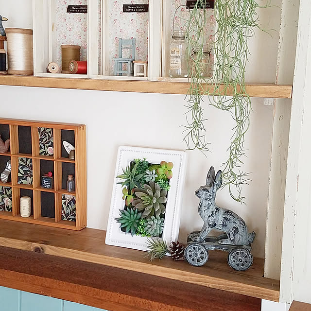 My Shelf,ニトリ,フェイクグリーン,ニトリのフェイクグリーン,棚DIY,好きなものに囲まれた暮らし,モニター当選しました♡,多肉セラミックフレーム,ニトリ2018フェイクグリーンモニター,インスタ→chocoa_cafe chocoの部屋
