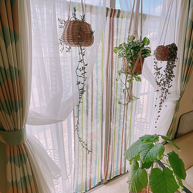 Lounge,夏の模様替え,観葉植物,窓,ナチュラル,グリーン,カフェ風,北欧,ガーデン雑貨,観葉植物のある暮らし,夏,窓辺 akiko-ovの部屋