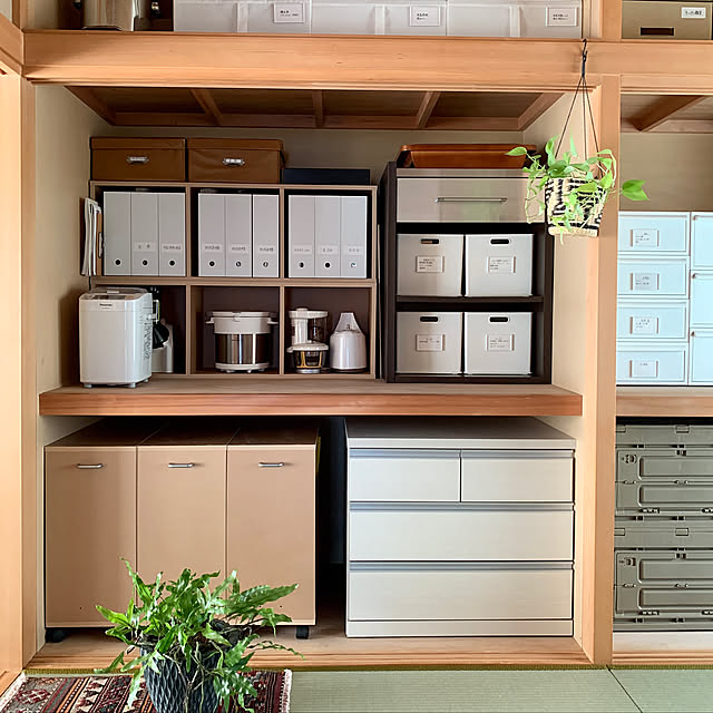 見せる収納,押入れ,押入れ収納,収納,植物のある暮らし,On Walls beneyの部屋