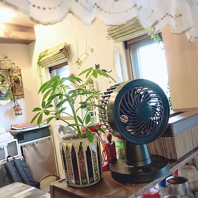 Kitchen,ミニ観葉植物,卓上首振り扇風機,扇風機,棚DIY xigyanの部屋