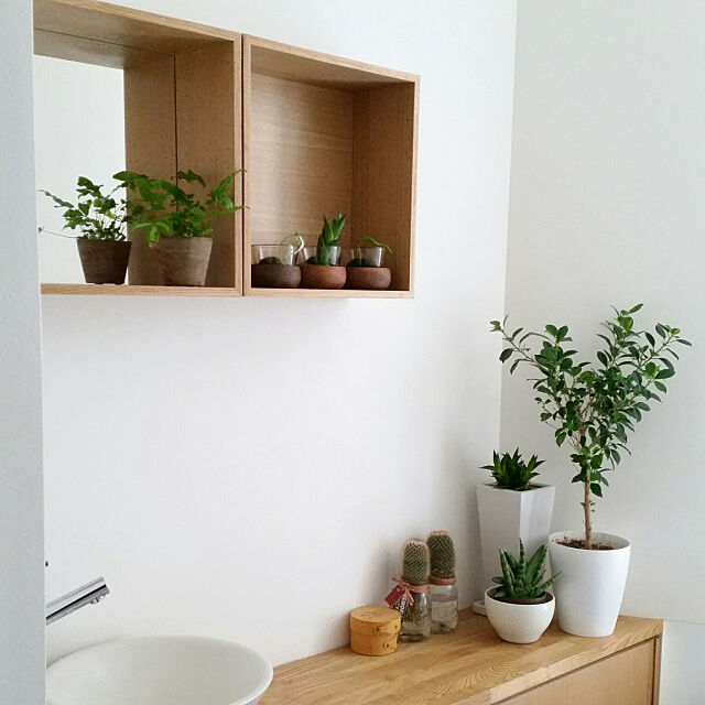 Bathroom,無加工無修正,無印良品,グリーンのある暮らし,観葉植物,白と木とグリーン,壁に付けれる家具,コメント嬉しいです♪,いつもいいねやコメントありがとう♡,フォロワーさんに感謝♡,Instagram→chie_iiii chieの部屋
