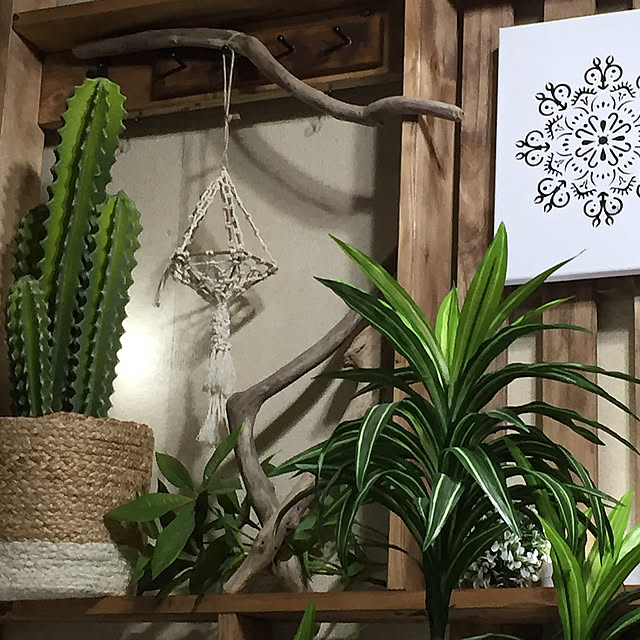 My Shelf,ステンシル自作,ダイソー商品,BOHOインテリア,RC愛知,賃貸でも楽しく♪,男前インテリア,BOHO,Boho Style,ハンドメイド,マクラメ編み,ご縁に感謝♡,イイねの押し逃げゴメンなさい(^_^)a,いつもいいねやコメント感謝です♩,Instagram → kemeroom,マクラメ編みとパネル 販売,minneにて販売中♡ kemeの部屋