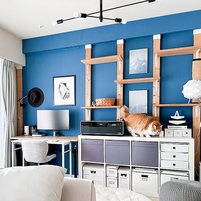 On Walls,IKEAの棚,キャットステップ,キャットタワー,ディアウォール,DIY,ポスター,IKEA,マンション,モノトーンインテリア,ナチュラルモノトーン,北欧MIX,リビング,北欧,ねこと暮らす Reikoの部屋