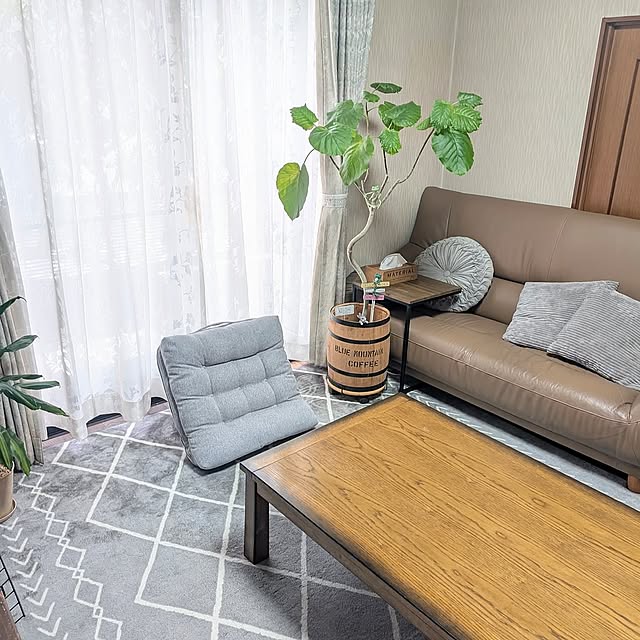 Overview,リビング,仮住まい中,仮住まい,見てくれてありがとう♡,仮住まい生活,カインズ,カインズホーム,ウンベラータ,観葉植物,仮住まい記録 naoporonの部屋