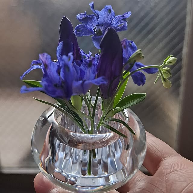 ガラス雑貨,ミチクサ,フラワーベース,一人暮らし,RCの出会いに感謝♡,NO GREEN NO LIFE,お花が大好き( ´͈ ᗨ `͈ )◞❀,植物のある暮らし,植物のある生活,夏,マンション,植物,洗面所,MICHI‐KUSA noaの部屋