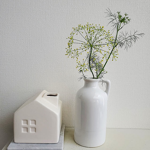 My Shelf,ナチュラルインテリア,simple life,モノトーン,北海道,札幌,注文住宅,simple,RC北海道支部,100均,心地よい暮らし,NO GREEN NO LIFE,ダイソー,ハーブ,ハーブのある暮らし,ディルの花,無印良品 壁に付けられる家具,ホワイトインテリア mikakoteの部屋