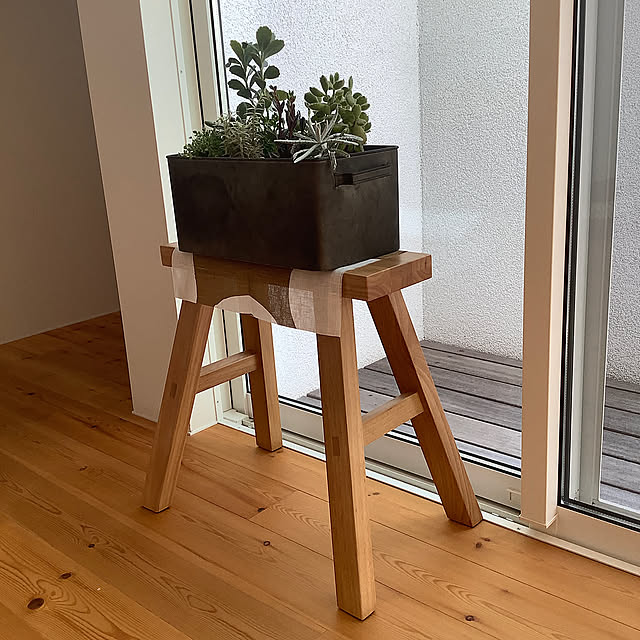 Lounge,グリーン,観葉植物 kazの部屋