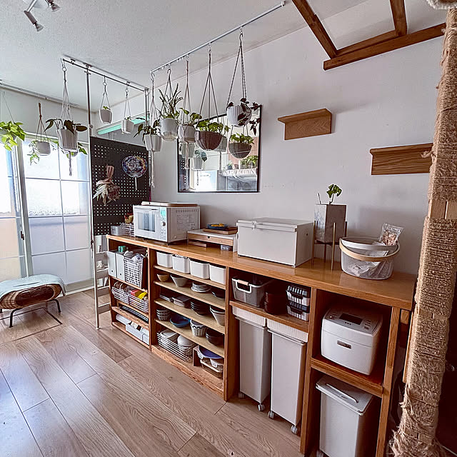 Kitchen,食器棚,観葉植物,狭小住宅,グリーンのある暮らし,植物のある暮らし,観葉植物のある暮らし masamasaの部屋