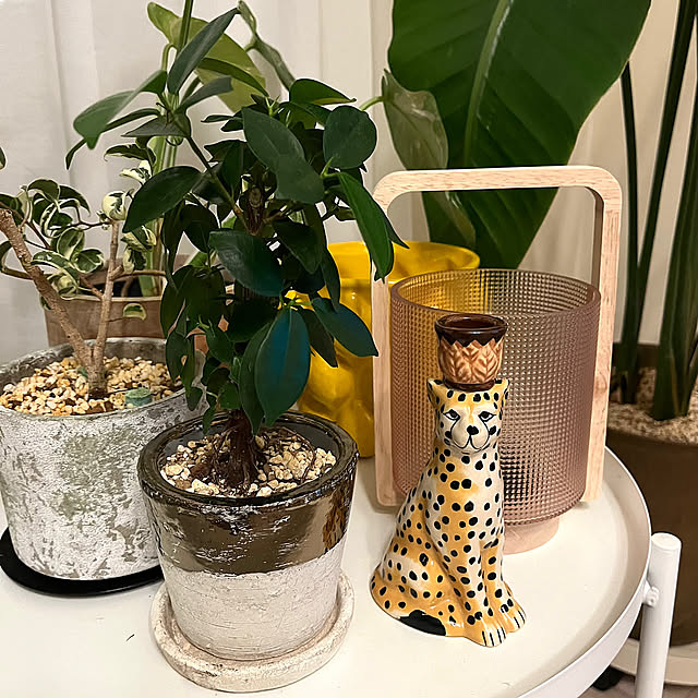 My Shelf,e花屋さん,3COINS,ときめきアイテム,マンション,観葉植物,H&M HOME DeDeの部屋