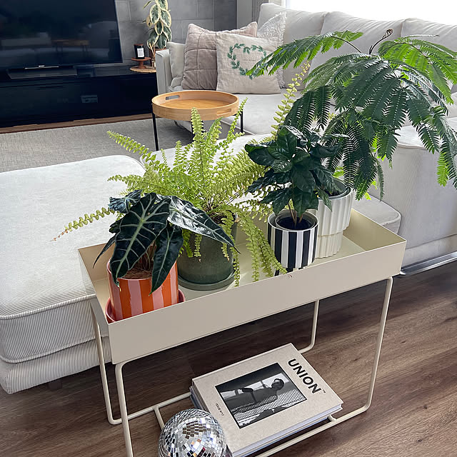 Lounge,ミラーボール,OYOY,グリーンのある暮らし,買ってよかったもの,H&M HOME,こどもと暮らす。,RoomClip運営チームの皆様に感謝♡,hmhome,コメントお気遣いなく♡,みて頂きありがとうございます♡ kahomeの部屋
