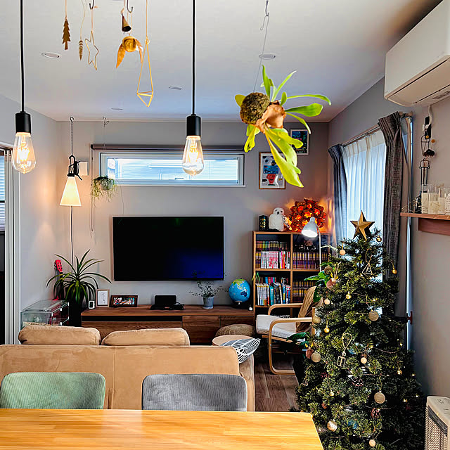 Overview,グリーンのある暮らし,unico ソファ,unico,壁掛けテレビ,LOWYAテレビボード,LOWYA,無印良品 スタッキングシェルフ,無印良品,Flos Mayday,FLOS,ペンダントライト,リビング,アルザスツリー150㎝,アルザスツリー,クリスマスツリー150cm,クリスマスツリー,クリスマス kurinokiの部屋