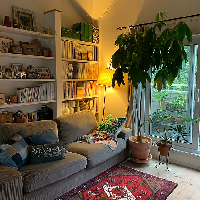 読書スペース,植物のある暮らし,観葉植物,ラグ,古いものが好き♡,IKEA,ごちゃごちゃ,NO GREEN NO LIFE,ミックスインテリア,グリーンのある暮らし,パキラ,キリム,Lounge junの部屋