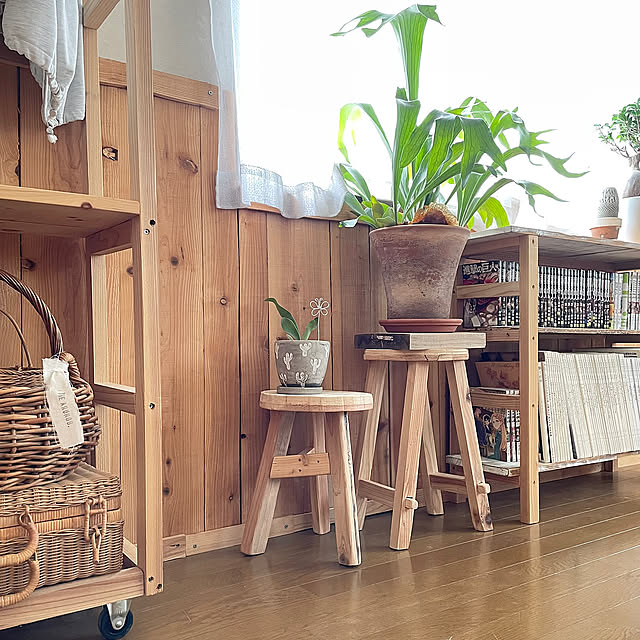 Bedroom,木製家具,コウモリラン,のほほん日和☆ k.i.brothersの部屋