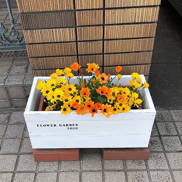 プランターカバーDIY,黄色い花,庭に咲く花,DIY,手作り,DIY女子,ステンシル,diy 大好き,DIYのある暮らし,にわのある暮らし,Entrance maron915の部屋