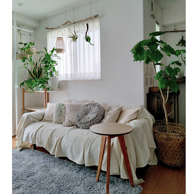 Lounge,春の模様替え,サイドテーブル,建売住宅,建売,ボタニカルインテリア,かご,ホワイト×ナチュラル,植物のある暮らし,ナチュラルインテリア,コメントお気遣いなく♡,自然素材,BOHOインテリアに憧れる,さわやかな雰囲気,ラグ,ニトリ,デコホーム,流木 kodaminの部屋