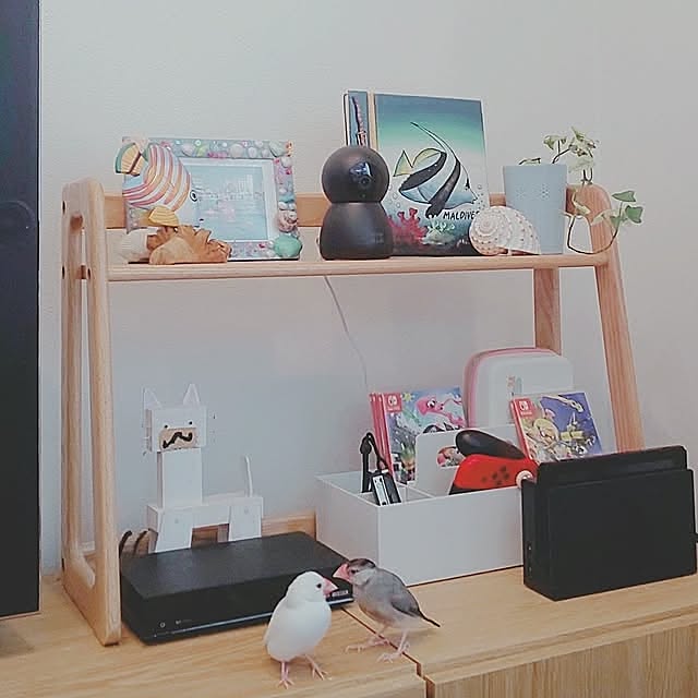 My Shelf,リフォーム,シンプル,北欧好き,こどもと暮らす,中古マンションリノベーション,三人家族,無印良品,卓上ラック,とりさん♡,見守りカメラ,Switch収納,文鳥のいる暮らし,鳥 Yoshi55goの部屋