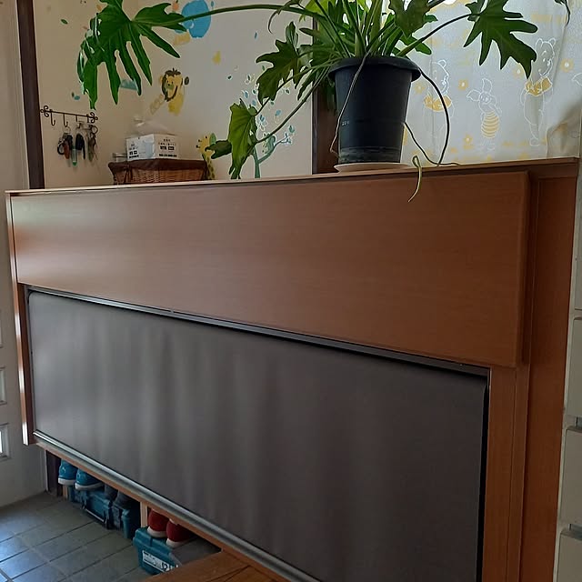 Entrance,使えるモノは使う,苦労も楽しくDIY mayurinの部屋