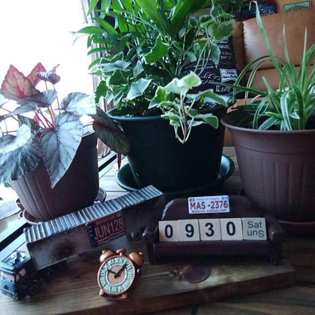 Bathroom,ダイソー♡,休日♪,初心者,おもちゃ☆,まだまだ初心者☆,観葉植物のある暮らし,いいね！ありがとうございます◡̈♥︎,植え替えました,快適生活目指して！,見てくれた方々有難うございます♬,フォロー感謝です✨,サイコロカレンダー,コンテナトレーラー,トイレじゃないけど…,アメリカン,マグネット,茶色ばっかり…,狭いながらも楽しい我が家♪,カレンダー,セリア,安いの大好き♡,BROWN LIFE★ Brown.Lifeの部屋