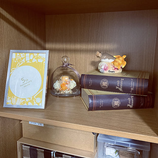 思い出の品,ディスプレイ,ブック型収納ボックス,カラーボックス,My Shelf Lin_3の部屋