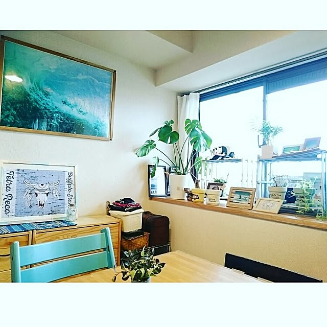 On Walls,NO GREEN NO LIFE,西海岸インテリア,カリフォルニアスタイル,ビーチハウス,サーファーズハウス,N.D.E.G,E.B.H,中古マンション,流木,テーブルヤシ,モンステラ,アップルミント,ローズマリー,クモマグサ,エアプランツ,tetraさんのポスター,tetraさんのりめっくま,chantatsuさんのリメ鉢,オールポスターズ maiの部屋
