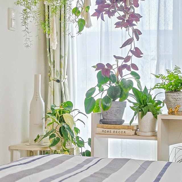 Bedroom,買ってよかったもの,一人暮らし,ハンディクリーナー,RoomClipショッピング,受賞ポイントで購入させて頂きました,2025.6.5,レコルトコードレスクリーナー,URBAN GREEN LIFE,観葉植物,グリーン,窓辺のグリーン YuriYuriの部屋