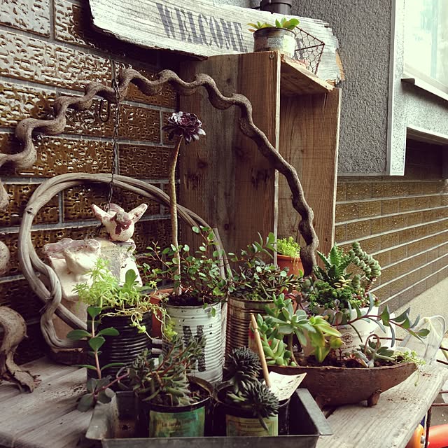 Entrance,リメ缶,多肉植物,ステンシル,Ｏ型です,RC福井支部 haruruの部屋