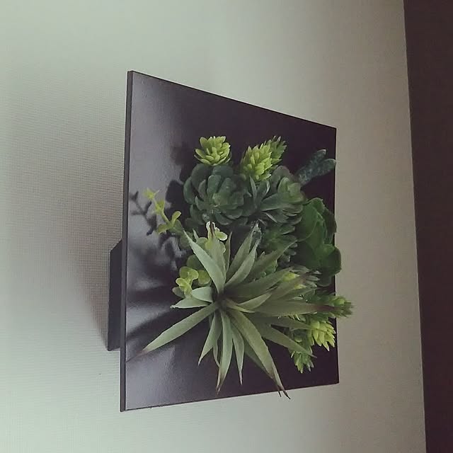 On Walls,カインズ,立て掛け鉢,多肉植物寄せ植え,フェイクグリーン conditoの部屋