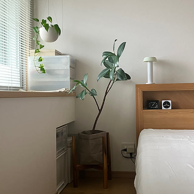 Bedroom,ひとり暮らし,100均,観葉植物 citizenkyellowの部屋