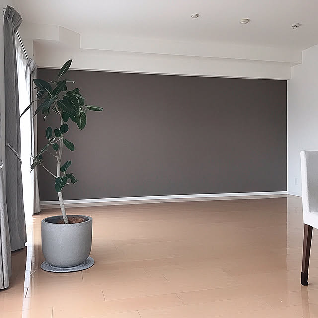 Lounge,一人暮らし,シンプル,観葉植物,ACTUS,ACTUSダイニングテーブル,ミニマリスト,アクセントクロス,ベンガレンシス rinaの部屋