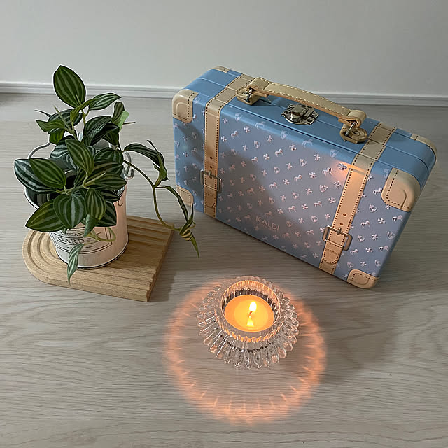 My Shelf,二枚投稿したよ,seria,一輪挿し,KALDI,カルディ,キャンドルの灯り,キャンドル,明かりのある暮らし,ユーカリ ayashigeの部屋