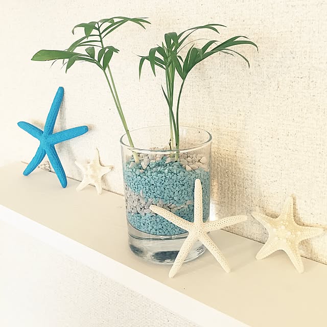 My Shelf,ホワイトインテリア,ロンハーマン,sea,スターフィッシュ,マリンテイスト,インテリア,100均,ダイソー,観葉植物 shiiichanの部屋