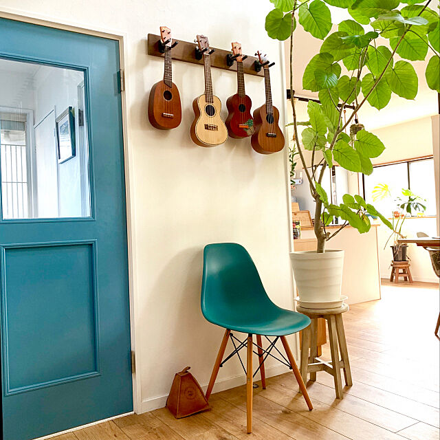 青い椅子,青いドア,ウクレレ,DIY,フォロー＆いいね！ありがとうございます☆,家族の空間,築30年超,ポカポカ陽気,植物のある暮らし,ウンベラータ,グリーン,Lounge hiro1220の部屋
