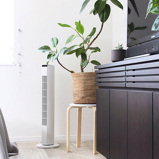 Bedroom,ブログやってます♡,ゴムの木,観葉植物のある暮らし,観葉植物,寝室の一角,寝室,AIR SLIM,サーキュレーター,タワー型扇風機,タワーファン,スリムタワーファン,MODERN DECO,扇風機,ig→sh.atyou,LIMIA→sh.atyou sh.atyouの部屋