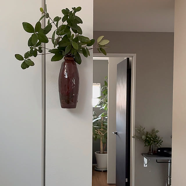 Entrance,パールアカシア,フェイジョア,やちむん 花器 maaLの部屋