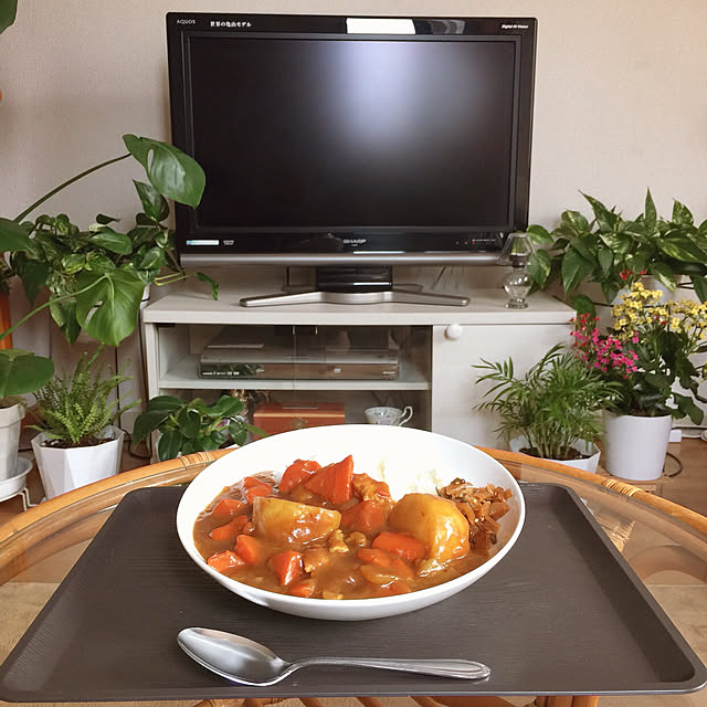 My Desk,ダイソー トレー,テレビ前,お昼,観葉植物,1K,一人暮らし RanRanの部屋